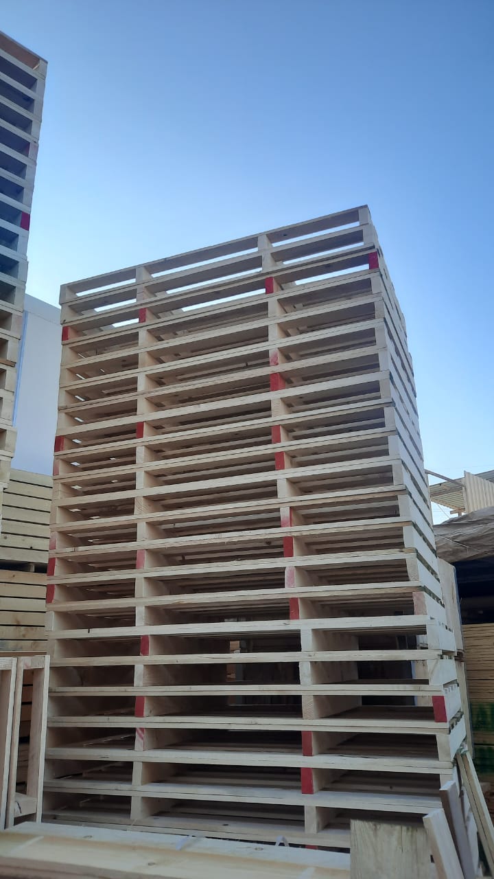 wooden pallets in Sharjah
